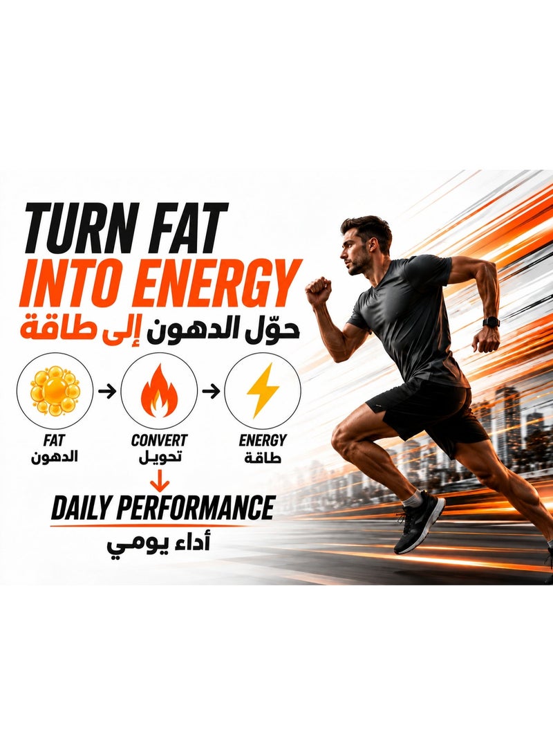 Sulinda Inestom L-Carnitine 1000 mg/10 ml Drinkable Supplement | Energy & Fat Metabolism Support | 10 Bottles - Image 4