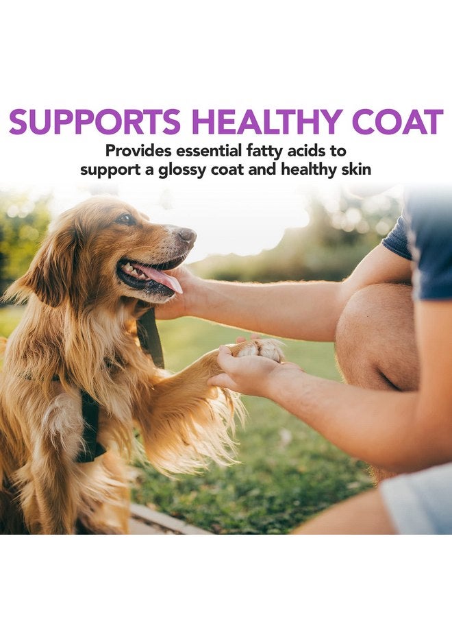 فيتس بيست علكات الخميرة والثوم من Vet's Best | حماية صحية لبشرة وفراء الكلاب | مُصممة بجرعات موصى بها من قبل الأطباء البيطريين | 60 قطعة - Image 4