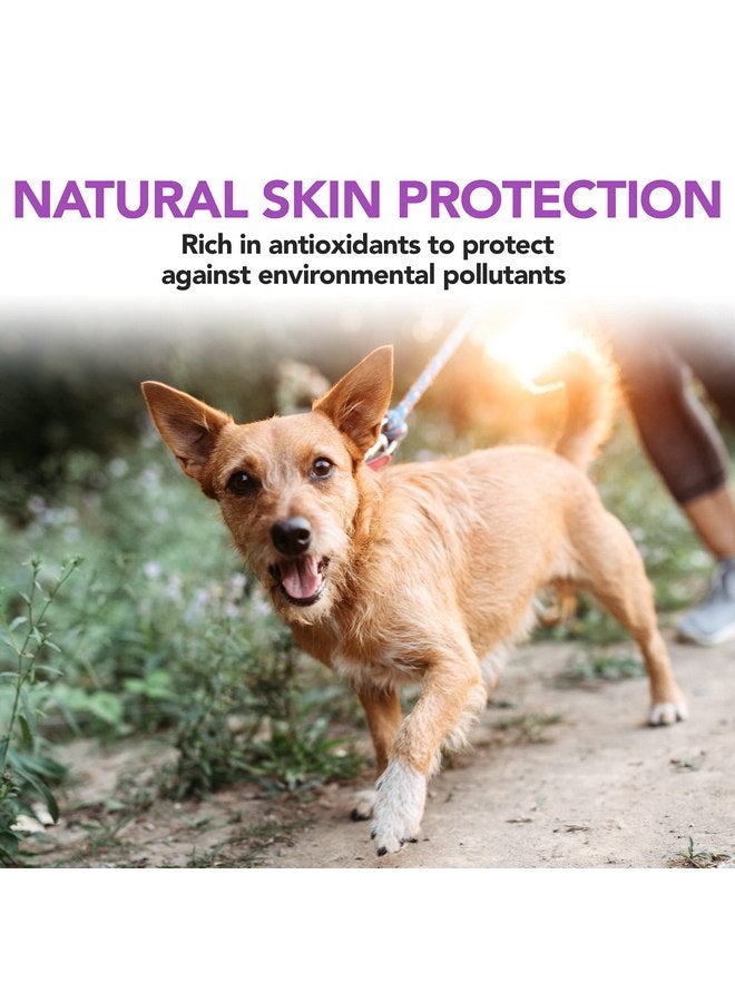 فيتس بيست علكات الخميرة والثوم من Vet's Best | حماية صحية لبشرة وفراء الكلاب | مُصممة بجرعات موصى بها من قبل الأطباء البيطريين | 60 قطعة - Image 3
