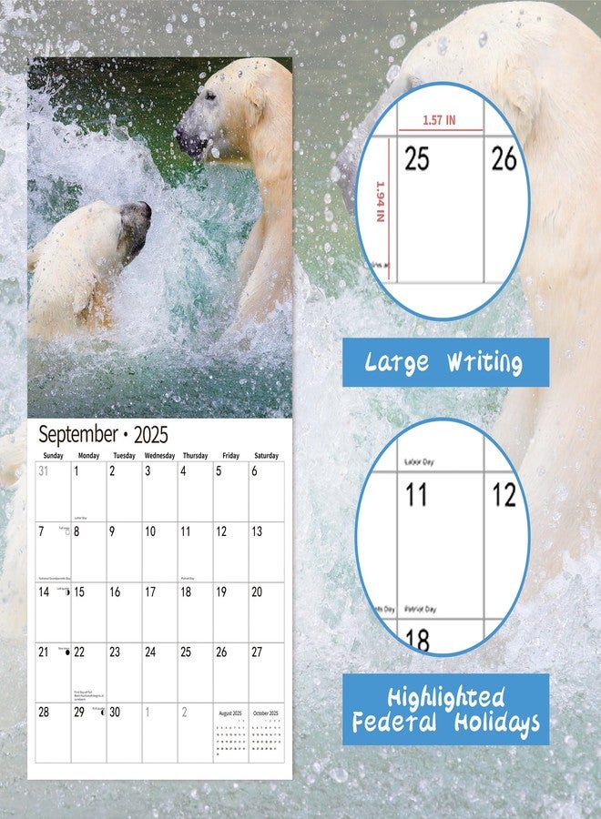 windrio 2026 Wall Calendar, Calendar 2026, July 2025 - December 2026, Wall Calendar Polar Bear, 12" x 24" Opened,Full Page Months Thick & Sturdy Paper for Calendar Organizing & Planning - Image 3