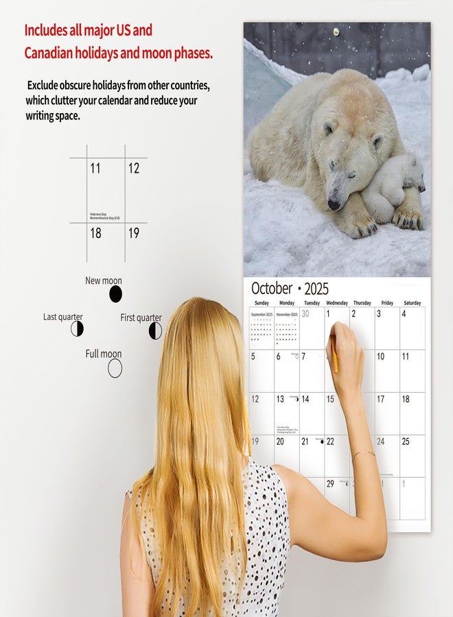 windrio 2026 Wall Calendar, Calendar 2026, July 2025 - December 2026, Wall Calendar Polar Bear, 12" x 24" Opened,Full Page Months Thick & Sturdy Paper for Calendar Organizing & Planning - Image 4