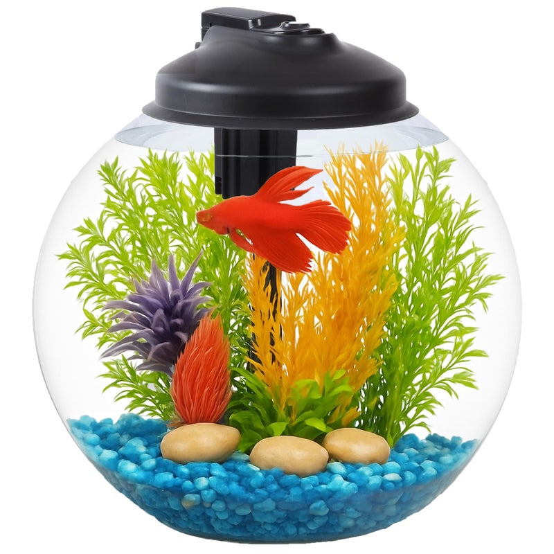 SW PRODUCTS 3-Gallon Fish Tank, Aquarium Starter Kit Includes Power Filter, LED Light with 5V Power Supply, and Full Hood, Ideal for Betta and a Variety of Tropical Fish, Impact-Resistant Plastic - Image 1