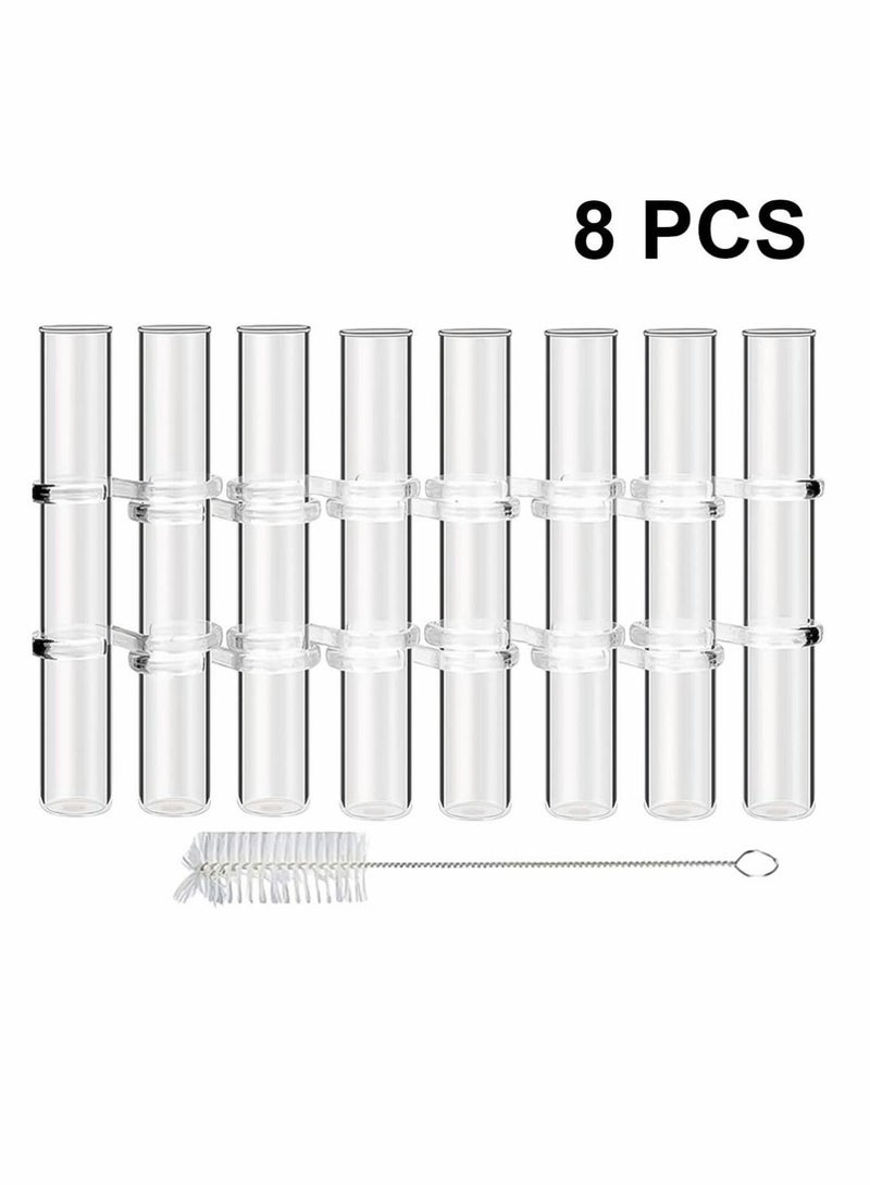 Y&D Crystal Glass Test Tube Vase Flower Pots Desktop Plant Terrarium DIY 8 Hydroponic Plants Home Garden Decoration with Brush 15x2.2cm - Image 2