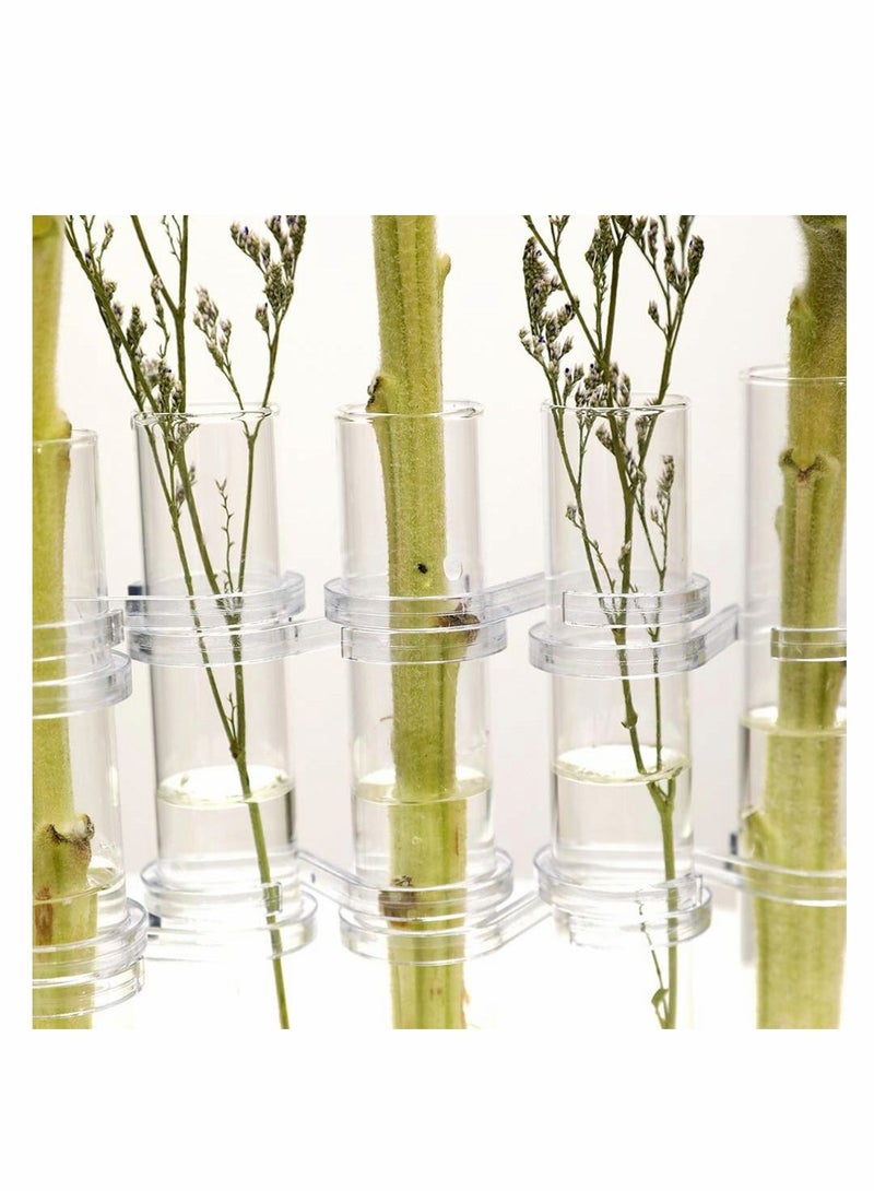 Y&D Crystal Glass Test Tube Vase Flower Pots Desktop Plant Terrarium DIY 8 Hydroponic Plants Home Garden Decoration with Brush 15x2.2cm - Image 5