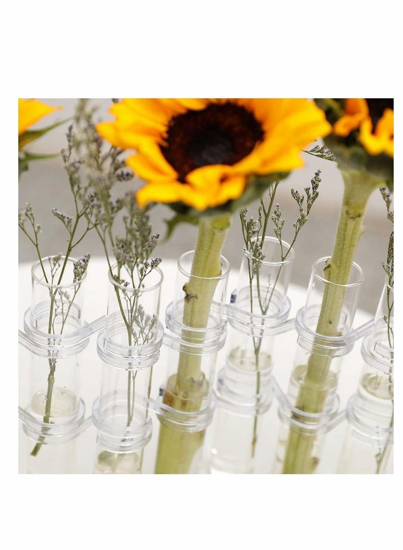 Y&D Crystal Glass Test Tube Vase Flower Pots Desktop Plant Terrarium DIY 8 Hydroponic Plants Home Garden Decoration with Brush 15x2.2cm - Image 4