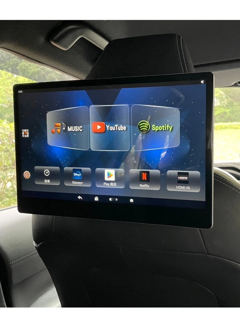 Rear seat entertainment system for cars