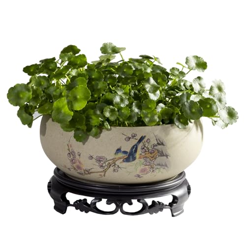 TOIVO Lotus Bowl Planter Coarse Pottery Water Lily Flower Pot with Plastic Base 78 inches B1 - Image 1