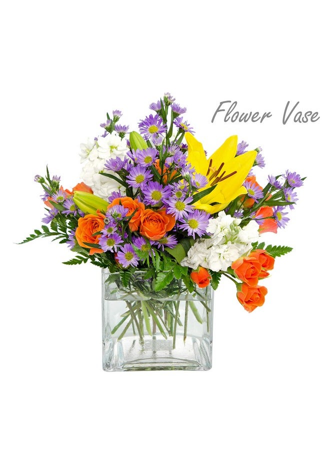 CYS EXCEL CYS EXCEL Clear Glass Cube Vase 6"x6"x6" | Square Wedding Flower Vase Centerpieces | Cubic Glass Candle Holder  - Image 3