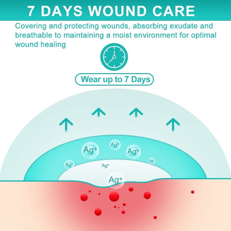 Dimora Ag Silver Sacrum Foam Wound Dressing Bandages Silicone Adhesive Border 7"x7" Waterproof Sacral Pads Absorbent Breathable Bed Sore Pressure Dressing - Image 3