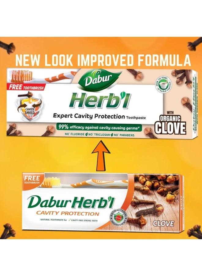 دابر معجون أسنان دابور العشبي بخلاصة القرنفل لحماية الأسنان من التسوس (١٥٠ غرام + فرشاة أسنان) | غني بالقرنفل | معجون أسنان طبيعي لأسنان قوية خالية من التسوس - Image 2