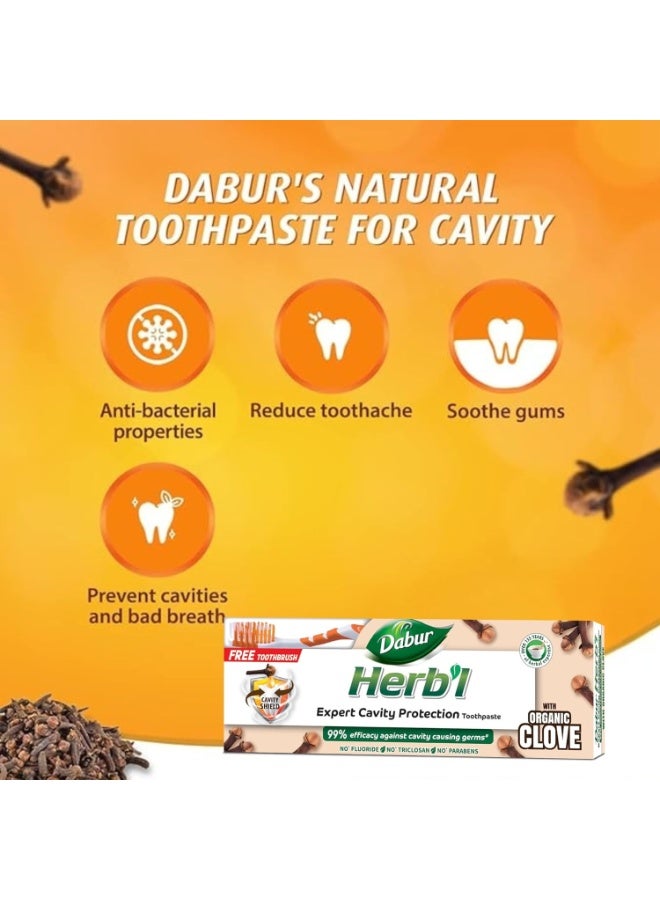 دابر معجون أسنان دابور العشبي بخلاصة القرنفل لحماية الأسنان من التسوس (١٥٠ غرام + فرشاة أسنان) | غني بالقرنفل | معجون أسنان طبيعي لأسنان قوية خالية من التسوس - Image 3