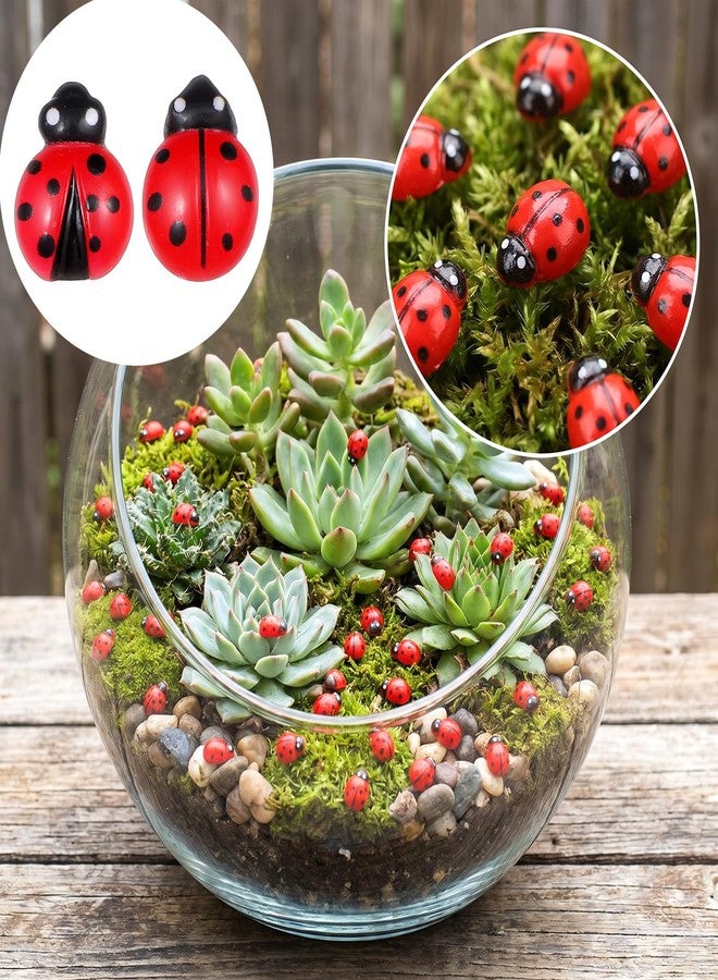 HaiFafafaing 200pcs Mini Resin Ladybug Decor, Tiny Ladybug for Crafts, Dollhouse Miniatures, Fairy Garden, Micro Landscaping, Home Decoration, Two Types - Image 5