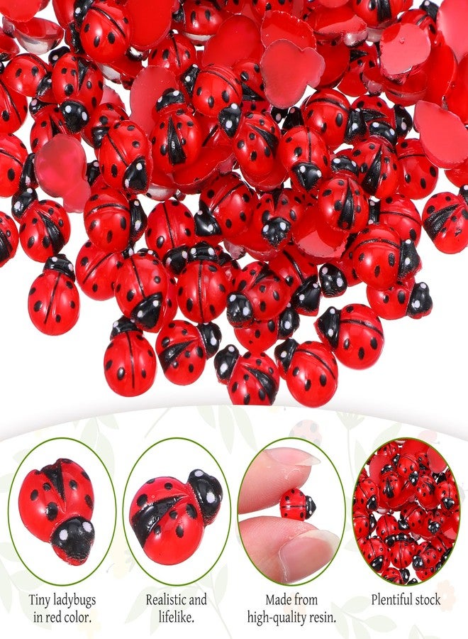 HaiFafafaing 200pcs Mini Resin Ladybug Decor, Tiny Ladybug for Crafts, Dollhouse Miniatures, Fairy Garden, Micro Landscaping, Home Decoration, Two Types - Image 3