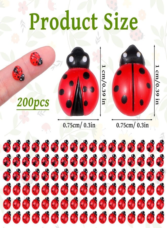 HaiFafafaing 200pcs Mini Resin Ladybug Decor, Tiny Ladybug for Crafts, Dollhouse Miniatures, Fairy Garden, Micro Landscaping, Home Decoration, Two Types - Image 2