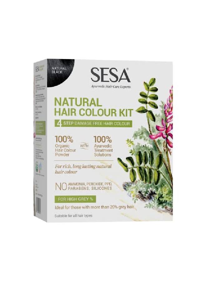 Sesa 4 Step l Hair Colour Kit 200gm + 40ml l Black - Image 2