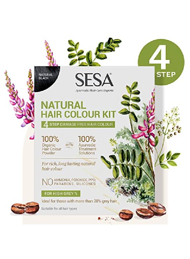 Sesa 4 Step l Hair Colour Kit 200gm + 40ml l Black - Image 3