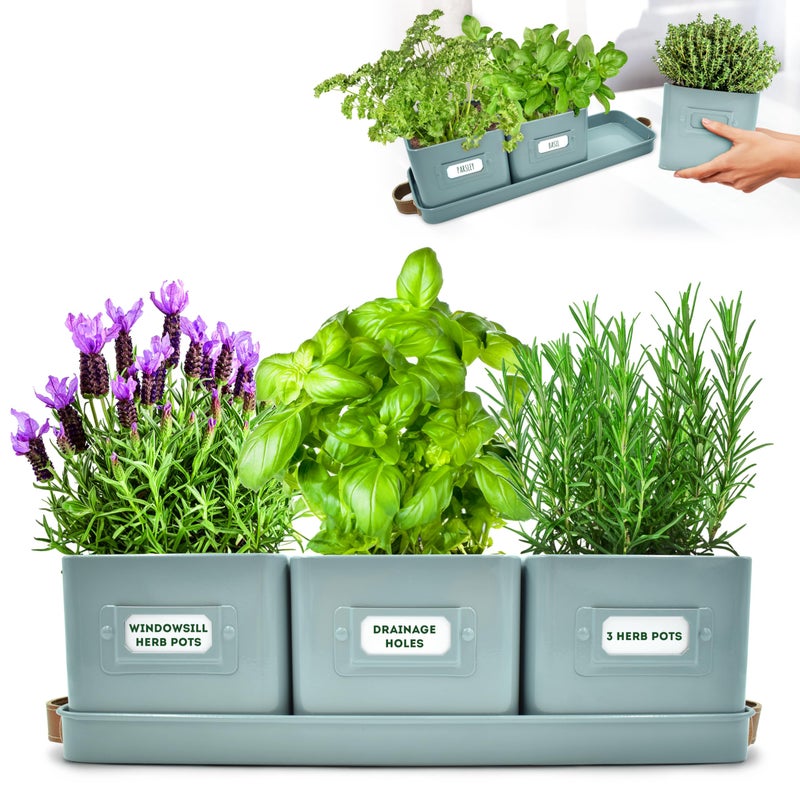 volila Herb Planter Indoor Set of 3 Teal Blue Indoor Herb Garden Pots for Plants with Leather Handled Tray Window Sill Plant Shelf Herb Pots with Drainage Holes and Labels