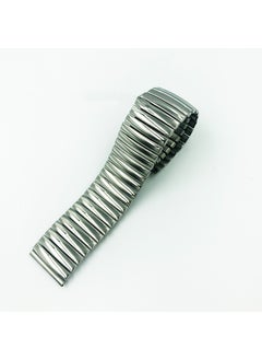 Generic Stainless Steel Elastic Slingshot Watch Strap 20/22mm Polished Matte Polished Silver (with accessories) 