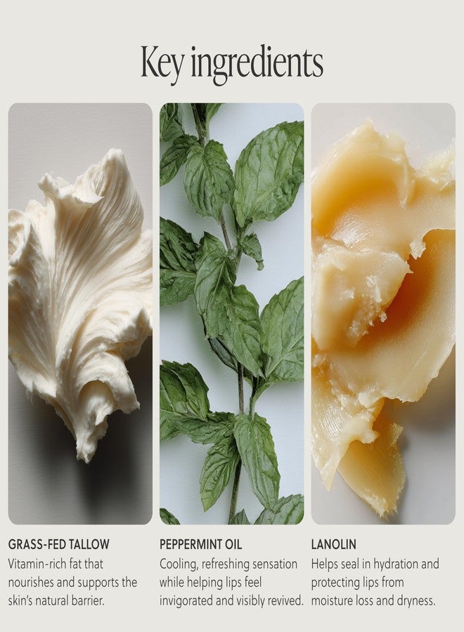 TALOVA - Grass-Fed Tallow Lip Balm, Lip Sleeping Mask, Overnight Moisturizer, Natural & Clean Moisturizing Lip Balm Vitamins A, D, E, & K, Nourishes and Smooths Dry & Chapped Lip (Peppermint) - Image 3