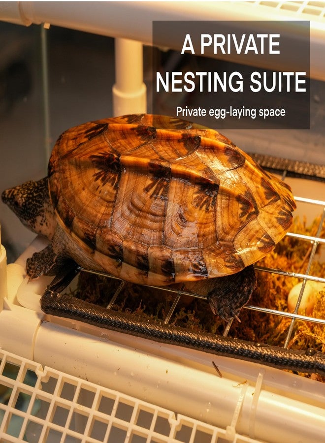 HYLCWTH Hanging Turtle Basking Platform, 2-in-1 Turtle Dock for Basking and Laying Eggs with DIY PVC Pipes and Nesting Box, 11.5" Width Resting Area, Ramp for Reptile Frog Terrapin - Image 5