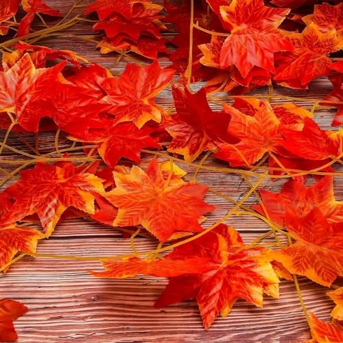 SpecialYou.in Polyester Special You 12pcs Artificial Orange Maple Vines, 8ft Fake Leaves Autum Vines for Backdrop, Wedding, Home Decor, Birhday, Balcony Decor, Festival, Wedding, Aesthetic Room Decor - Image 3
