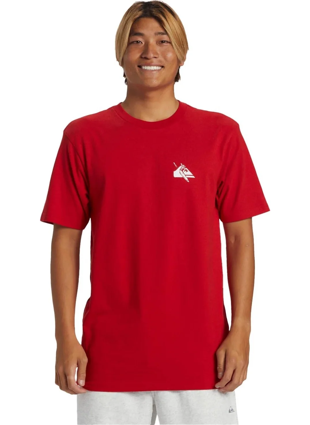 QUIKSILVER Qs Petroglyph Logo Dna Red Men's Tshirt