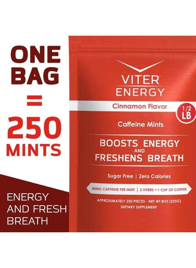Viter Energy نعناع كافيين - خالي من السكر، فيتامينات ب، نباتي، يعزز الطاقة والتركيز السريع، مكمل نوتروبيك بالكافيين (نكهة القرفة، 8 أونصات، كيس بالجملة) - Image 5