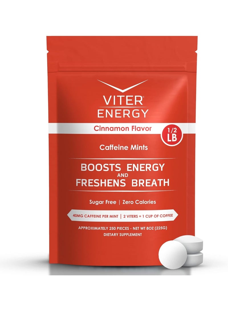 Viter Energy نعناع كافيين - خالي من السكر، فيتامينات ب، نباتي، يعزز الطاقة والتركيز السريع، مكمل نوتروبيك بالكافيين (نكهة القرفة، 8 أونصات، كيس بالجملة) - Image 1