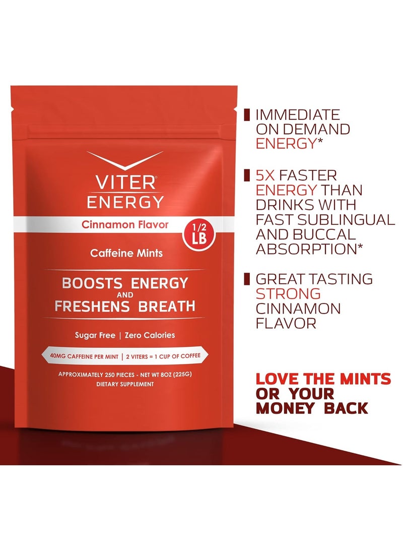 Viter Energy نعناع كافيين - خالي من السكر، فيتامينات ب، نباتي، يعزز الطاقة والتركيز السريع، مكمل نوتروبيك بالكافيين (نكهة القرفة، 8 أونصات، كيس بالجملة) - Image 4