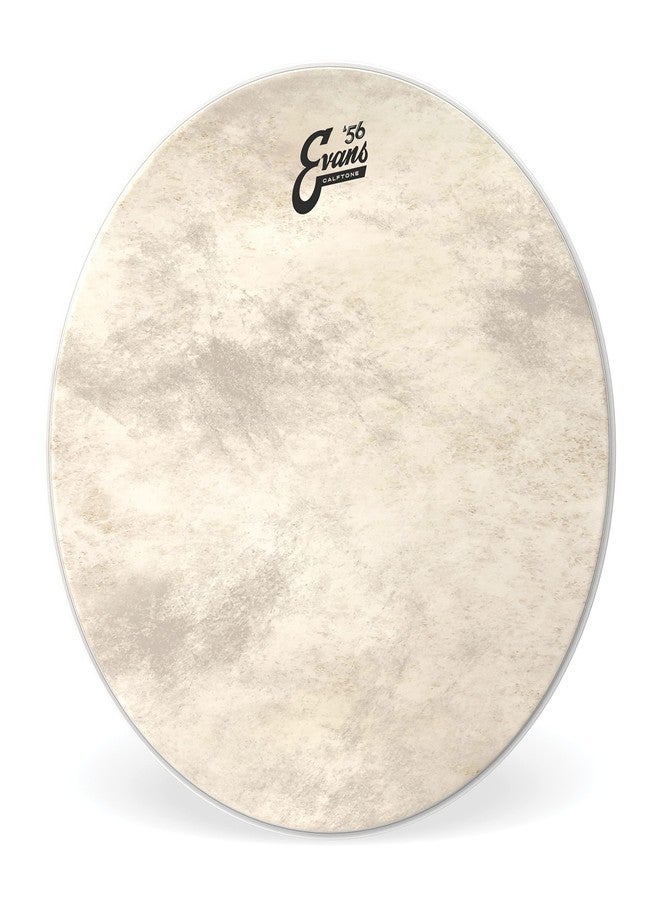 Evans Calftone Bass Drum Head, 22" - Image 1