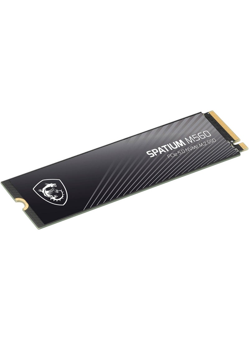 MSI SPATIUM M560 PCIe 5.0 NVMe M.2 Internal SSD, 2TB Capacity, Up to 10300 MB/s Sequential Read & 8700 MB/s Sequential Write Speed, 1200 TBW, 3D NAND Flash Memory 2 TB - Image 4
