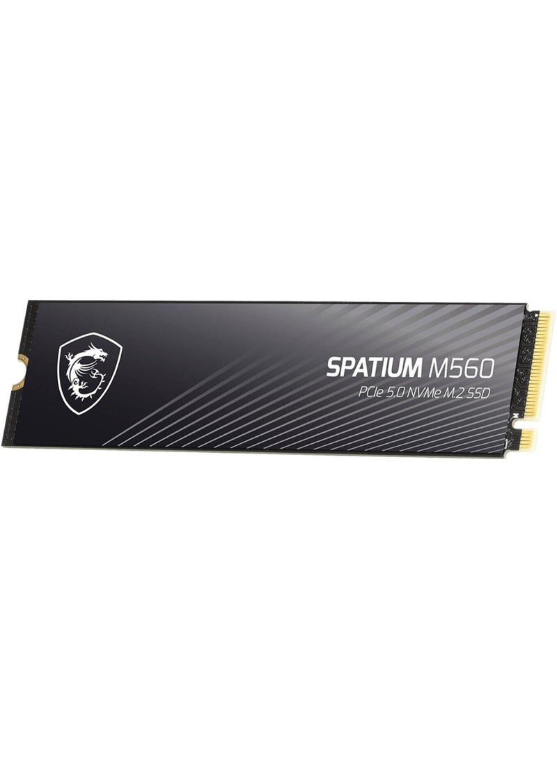 MSI SPATIUM M560 PCIe 5.0 NVMe M.2 Internal SSD, 2TB Capacity, Up to 10300 MB/s Sequential Read & 8700 MB/s Sequential Write Speed, 1200 TBW, 3D NAND Flash Memory 2 TB - Image 2