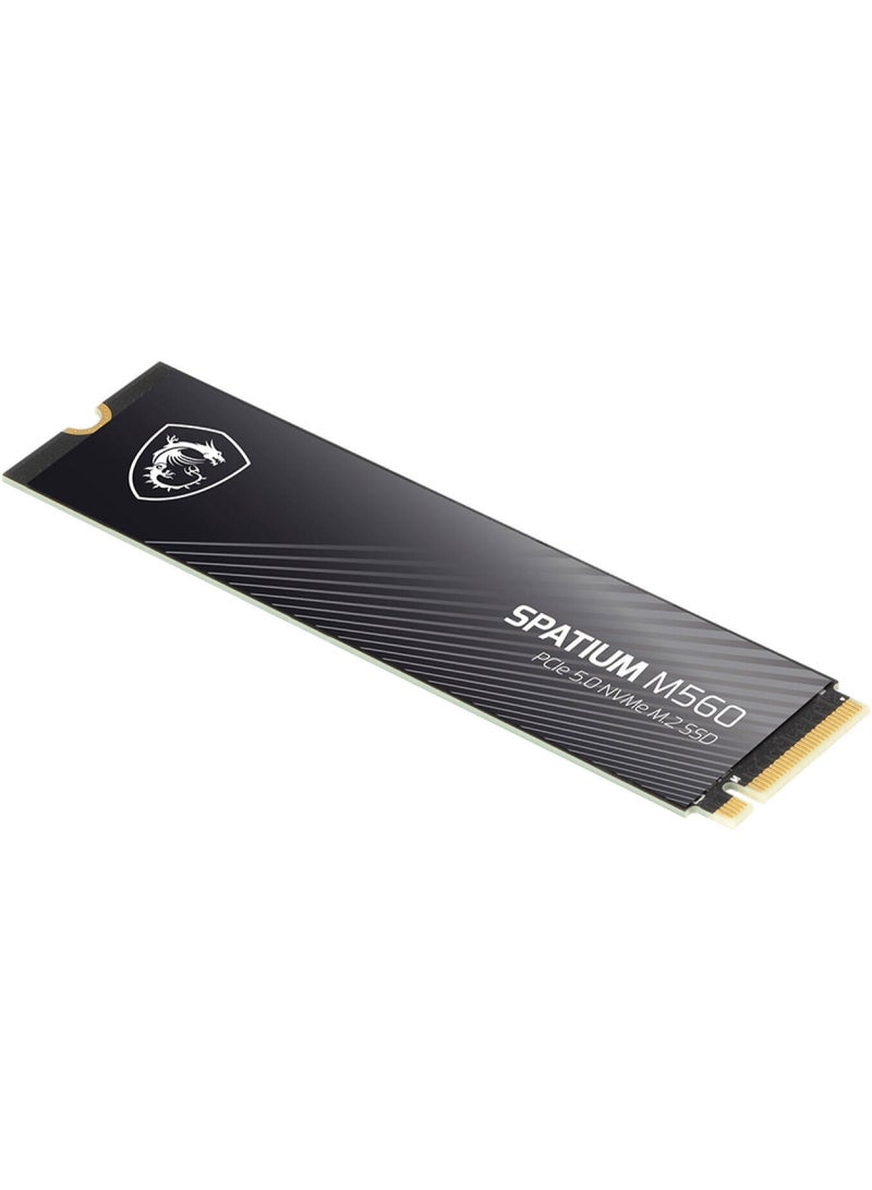 MSI SPATIUM M560 PCIe 5.0 NVMe M.2 Internal SSD, 2TB Capacity, Up to 10300 MB/s Sequential Read & 8700 MB/s Sequential Write Speed, 1200 TBW, 3D NAND Flash Memory 2 TB - Image 5