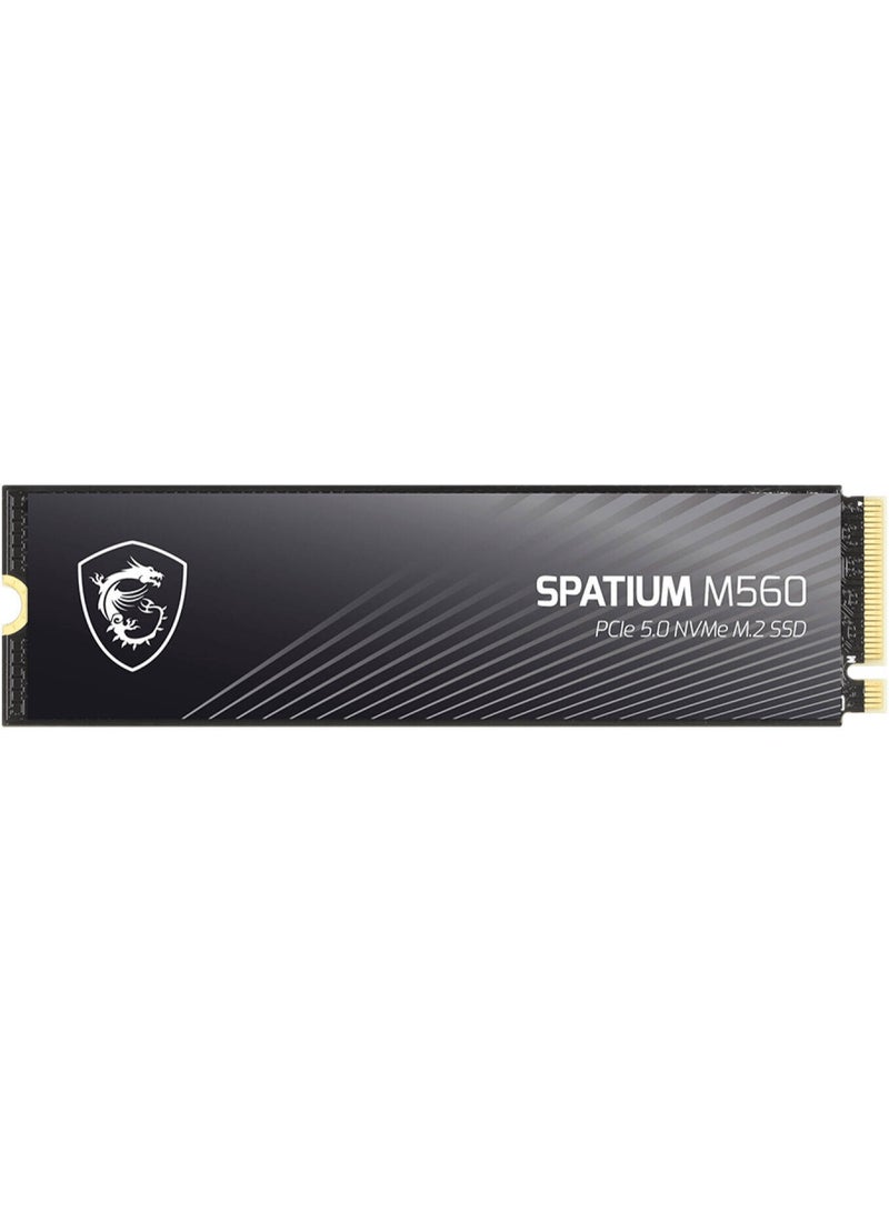 MSI SPATIUM M560 PCIe 5.0 NVMe M.2 Internal SSD, 2TB Capacity, Up to 10300 MB/s Sequential Read & 8700 MB/s Sequential Write Speed, 1200 TBW, 3D NAND Flash Memory 2 TB - Image 3