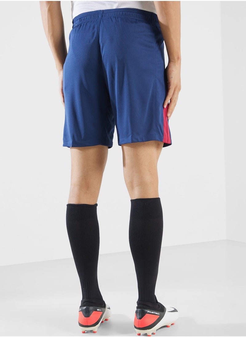Nike FC Barcelona Dri-Fit Shorts  - Image 3