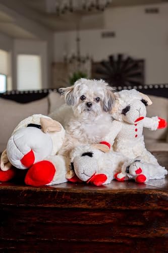 Multipet Lamb Chop 10" (Pack of 3) - Image 4