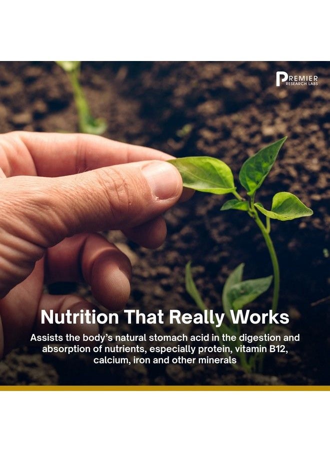Premier Research Labs - Thyroven Supports Thyroid Function Features Nutraceutical Formula With Atlantic Kelp Wild Bear Garlic Chlorella Fennel Turmeric & Parsley 60 Plant Source Capsules - Image 1