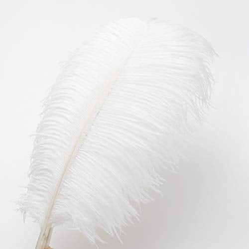 Ballinger 24pcs Natural White Ostrich Feathers 10-12inch (25-30cm) for Wedding Party Centerpieces，Flower Arrangement and Home Decoration. - Image 3