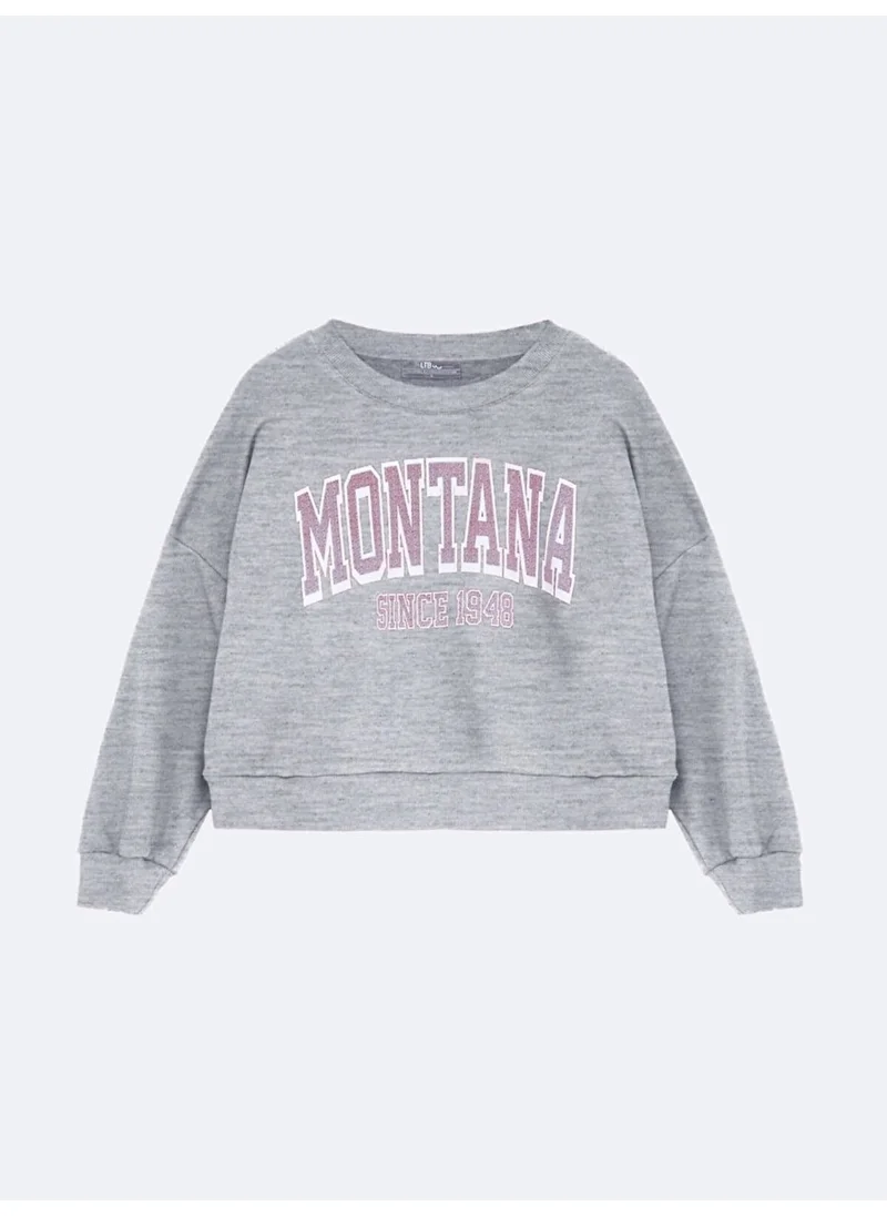 LTB Gray Sweatshirt