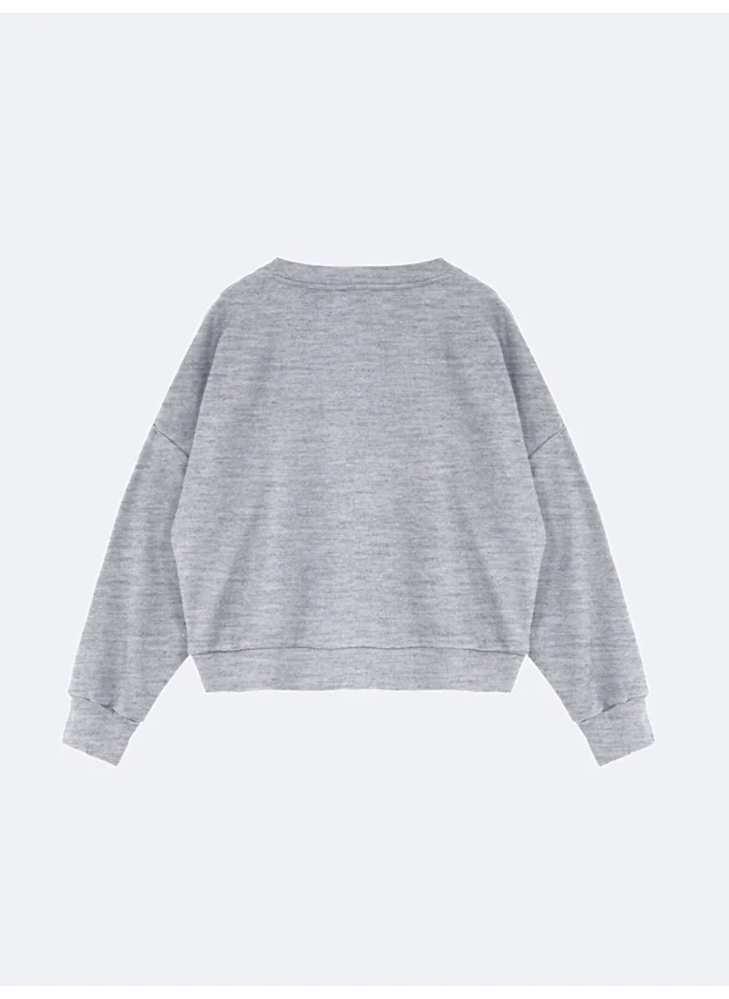 LTB Gray Sweatshirt