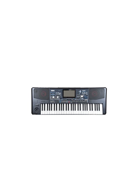 Korg Pa1000 MG 61-key Professional arranger keyboard