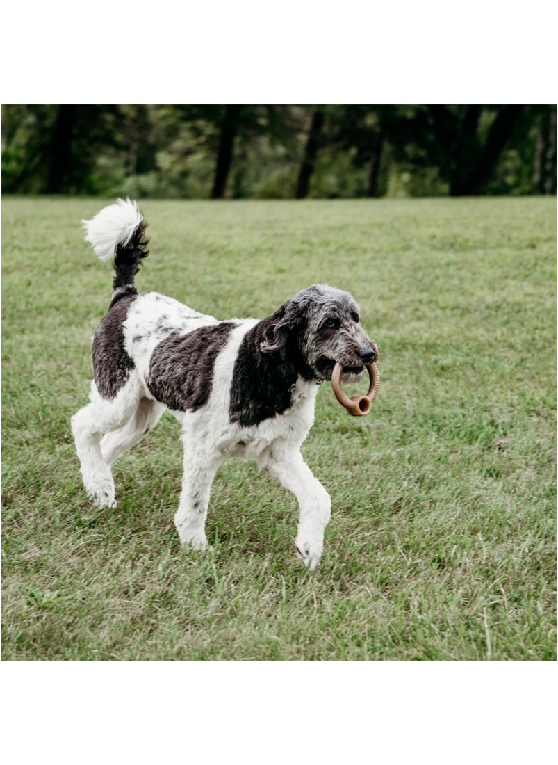 Ring Dog Toy Bacon