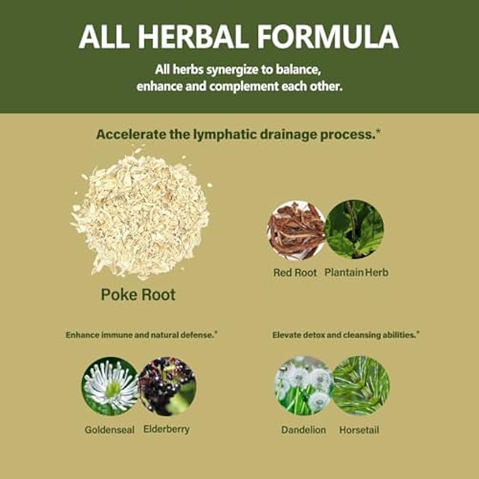 Eubrition Poke Root Drops for Lymph System Support, Lymphatic Drainage Supplement for Lymphedema, 7 in 1 Formula with Goldenseal Extract for Immune Support, Dandelion for Detox & Cleanse. 2oz - Image 4