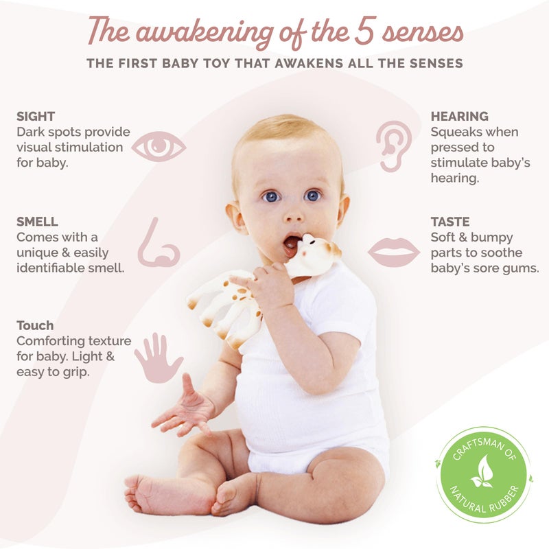 Decowall Sophie la girafe Baby Teether - 100% Natural Rubber Teething Toy - Handmade in France - BPA-Free, Non-Toxic, Vegan, Sensory Stimulating Teether for Newborns 0+ Months - Image 2