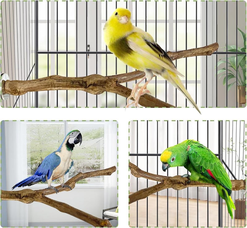 كاثسون مجاثم الطيور الطبيعية من كاثسون - عصا الوقوف للطيور - عصا العنب البري - شوكة طحن المخالب - أغصان التسلق والوقوف للببغاوات - لعبة قابلة للمضغ - ملحقات القفص للببغاوات الصغيرة والكوكاتيل وطيور الحب - Image 5