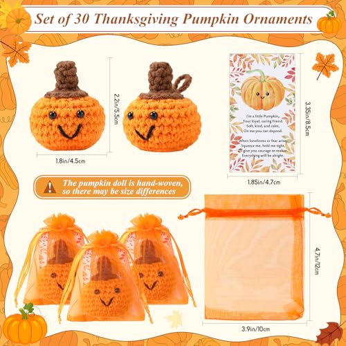 Shappy 30 Sets Thanksgiving Gifts Bulk Small Novelty Fall Pumpkins Crochet Gifts with Positive Cards Organza Bags for Fall Holiday Harvest Party Favors Home Table Decor - Image 3