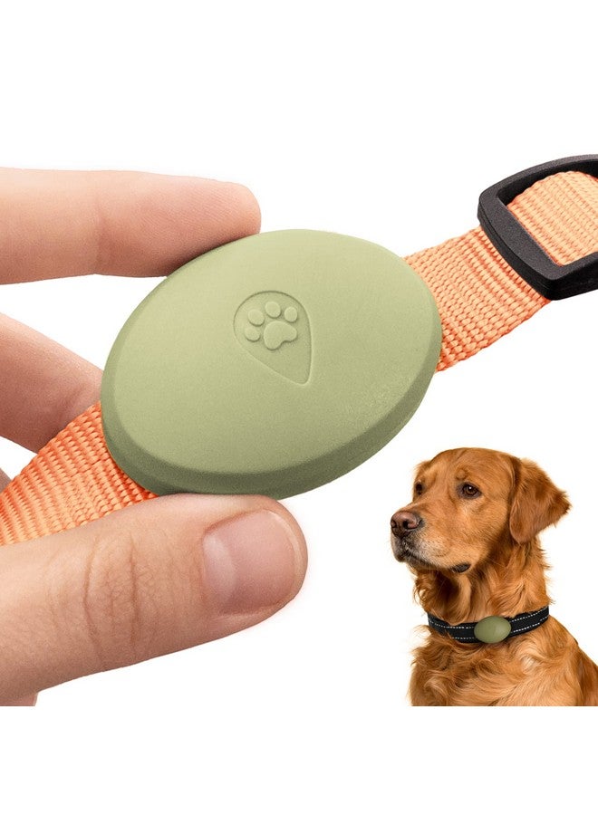 CollarDirect Airtag Holder for Dog Collar - Waterproof and Durable Protective Case for Airtag Tracker - Dog Airtag Holder Fits All Widths of Dog and Cat, Pet Collars - Alternative to Airtag Dog Collar - Image 1