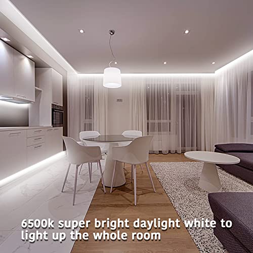 dalattin White LED Strip Lights, 40ft Dimmable LED Light Strip 6500K Bright Daylight White 24V, 720 LEDs 2835 Tape Lights for Bedroom, Kitchen, Mirror, Home Decoration(2 * 20ft) - Image 5