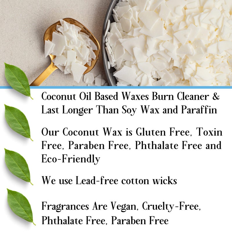 Bluebyrd Soap Co. Fresh Coffee Candle Jar 9oz | Highly Scented Coffee Candles for Home - Coconut Wax Jar Candle with 100% Cotton Wick - Slow Clean Burn 55+ Hours | Vegan (Fresh Coffee, 9oz) - Image 5