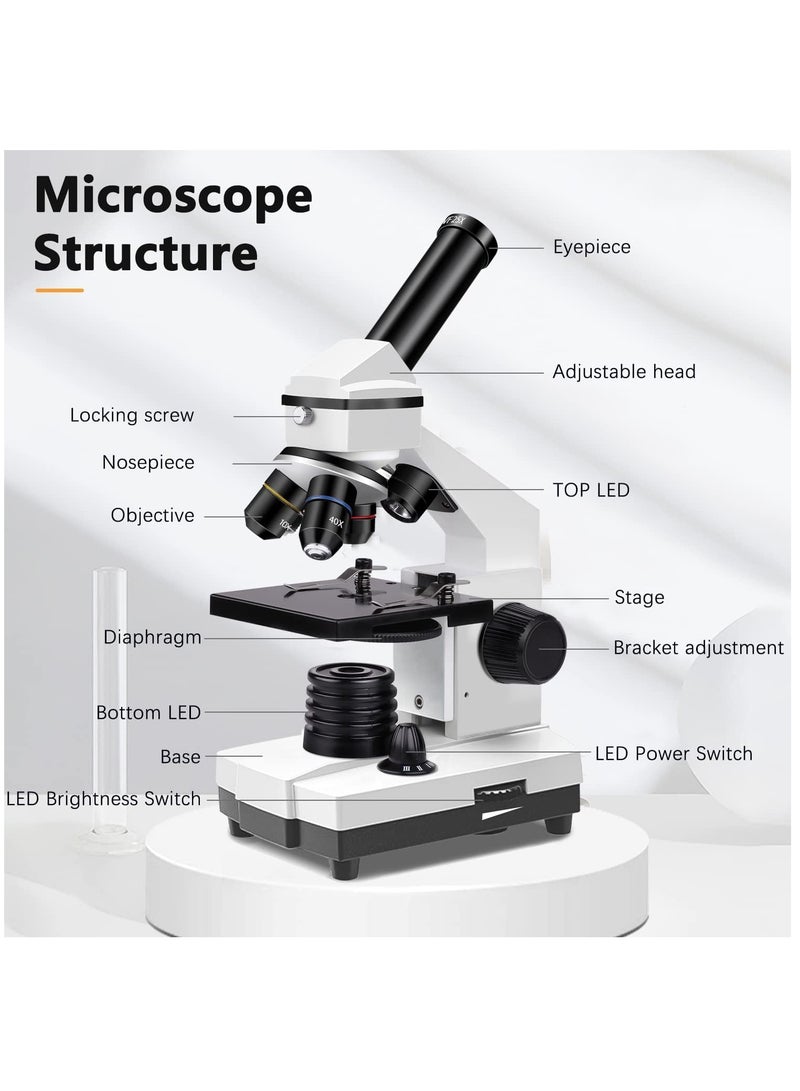 Excefore 100X-2000X Microscopes for Kids Students Adults, Powerful Biological Microscopes for School Laboratory Home Education,with Microscope Slides Set, Phone Adapter  - Image 4